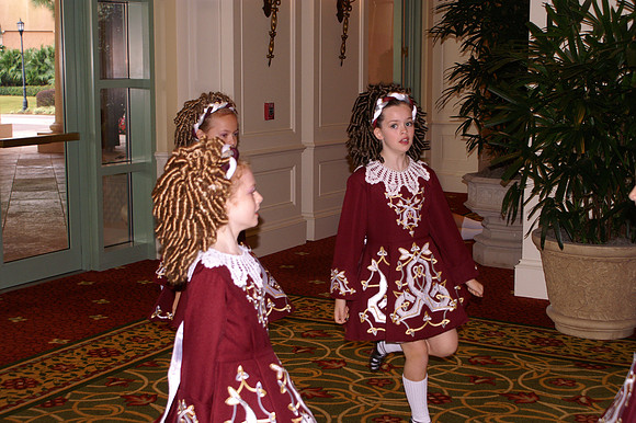 2008 Oireachtas, Orlando