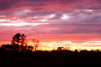 2007 Sunsets