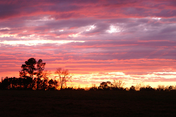 Sunsets from my backyard