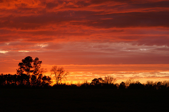 Sunsets from my backyard