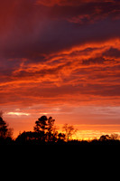 Sunsets from my backyard