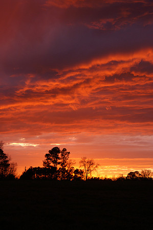 Sunsets from my backyard