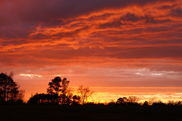 Sunsets from my backyard