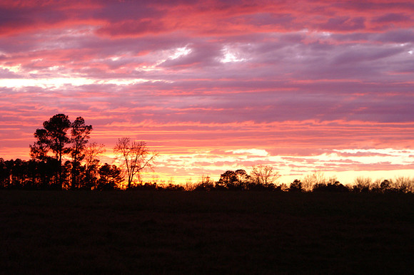 Sunsets from my backyard