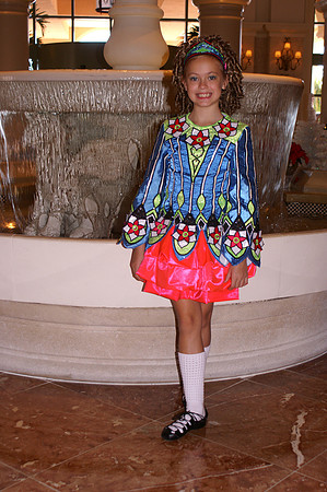 2008 Oireachtas - Sunday