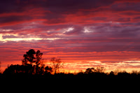 Sunsets from my backyard