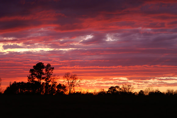 Sunsets from my backyard