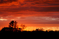 Sunsets from my backyard