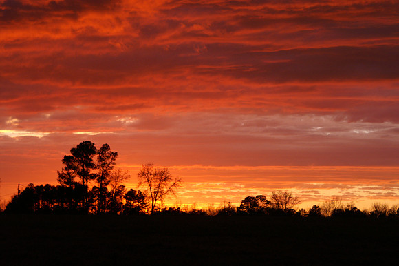 Sunsets from my backyard