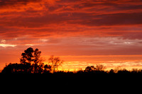Sunsets from my backyard