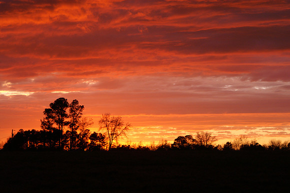 Sunsets from my backyard