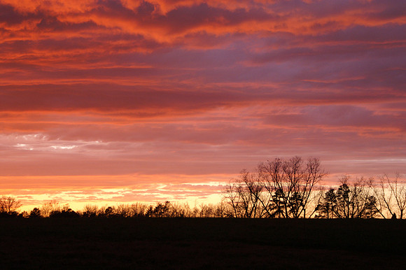 Sunsets from my backyard