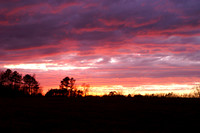 Sunsets from my backyard