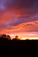 Sunsets from my backyard