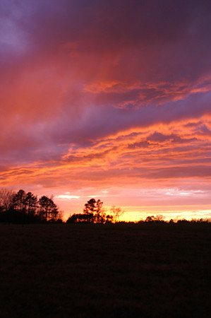 Sunsets from my backyard