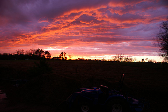 Sunsets from my backyard