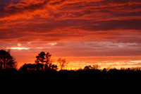 Sunsets from my backyard