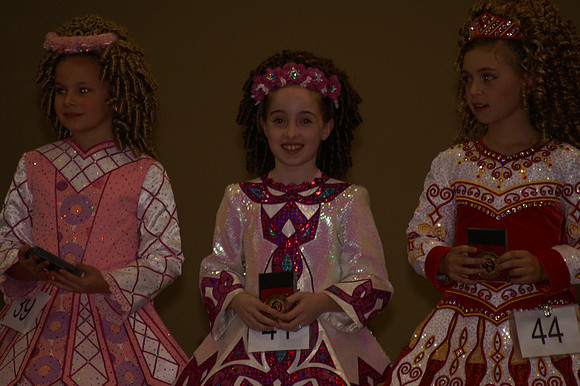 2008 Oireachtas - Sunday