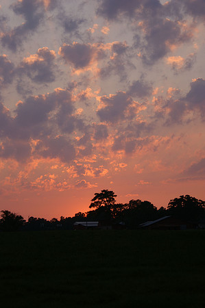Sunset from my Back Yard
