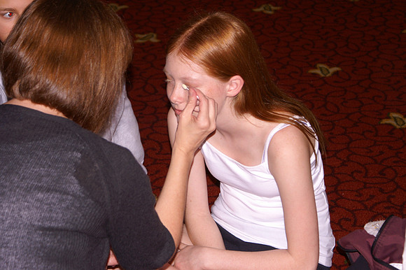 2008 Oireachtas, Orlando