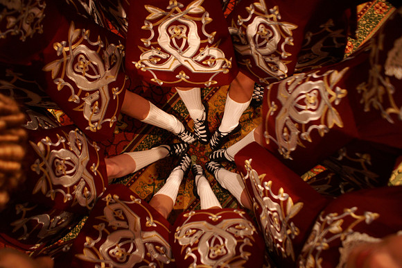 2008 Oireachtas, Orlando