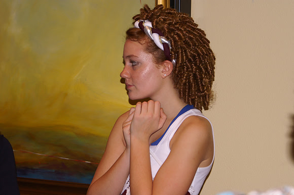 2008 Oireachtas, Orlando