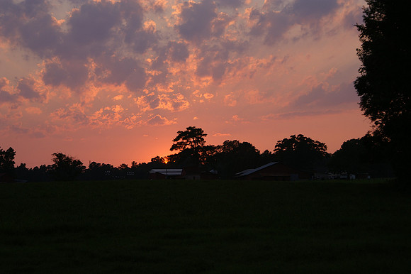 Sunset from my Back Yard