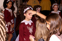 2008 Oireachtas, Orlando
